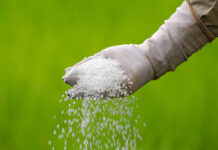 नए यूरिया प्लांट को केंद्र की मंजूरी, साल में 12.7 लाख टन यूरिया प्रोडक्शन होगा