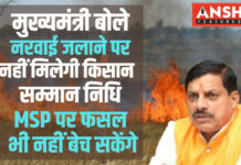CM बोले खेत में नरवाई जलाई तो नहीं मिलेगा किसान कल्याण योजना का लाभ, MSP पर फसल भी नहीं बेच सकेंगे