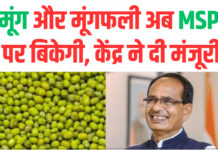 मूंग और मूंगफली अब MSP पर बिकेगी, केंद्र ने दी मंजूरी